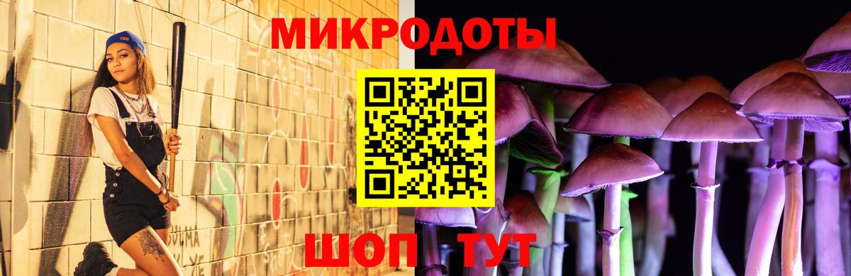 Гулькевичи  Псилоцибиновые грибы Cubensis  Вход с VPN  Псилоцибиновые грибы Cubensis 